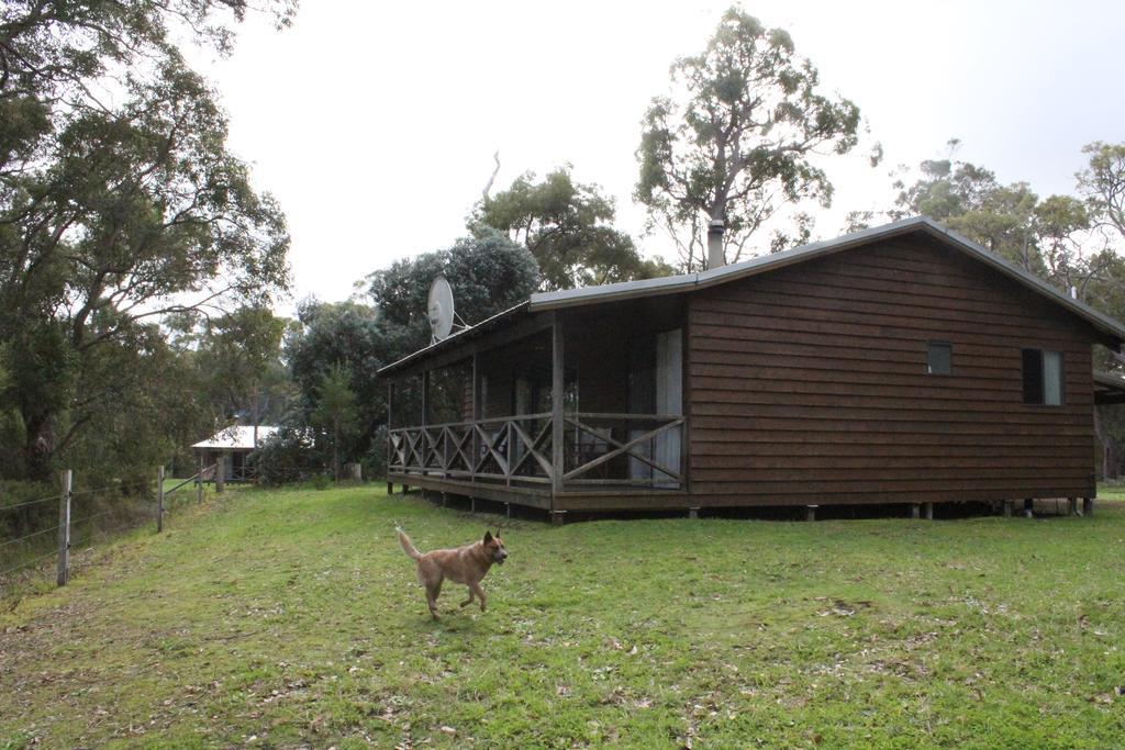 Che Sara Sara Chalets Walpole Chambre photo